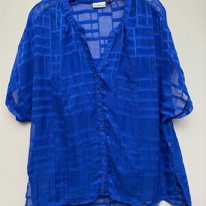 Kim Rogers Womens XL Blue Sheer Button Front Blouse Lightweight Top